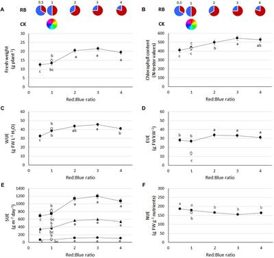 Unraveling the Role of Red:Blue LED Lights on Resource Use Efficiency and Nutritional Properties of Indoor Grown Sweet Basil